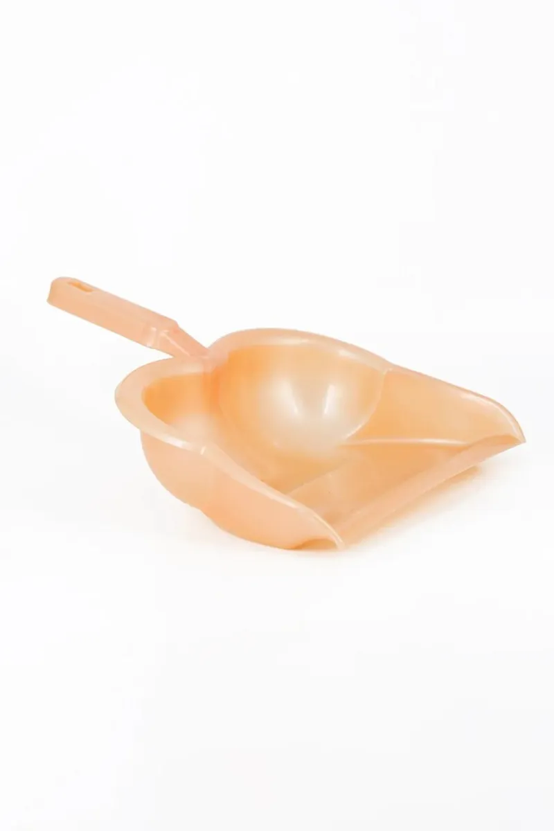 Nayasa Plastic Mr Clean Dust Pan - 29cm