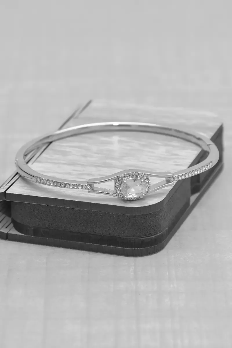 Silver Plated Crystal Cubic Zirconia Cute Bracelet For Women  009699SILFRE1