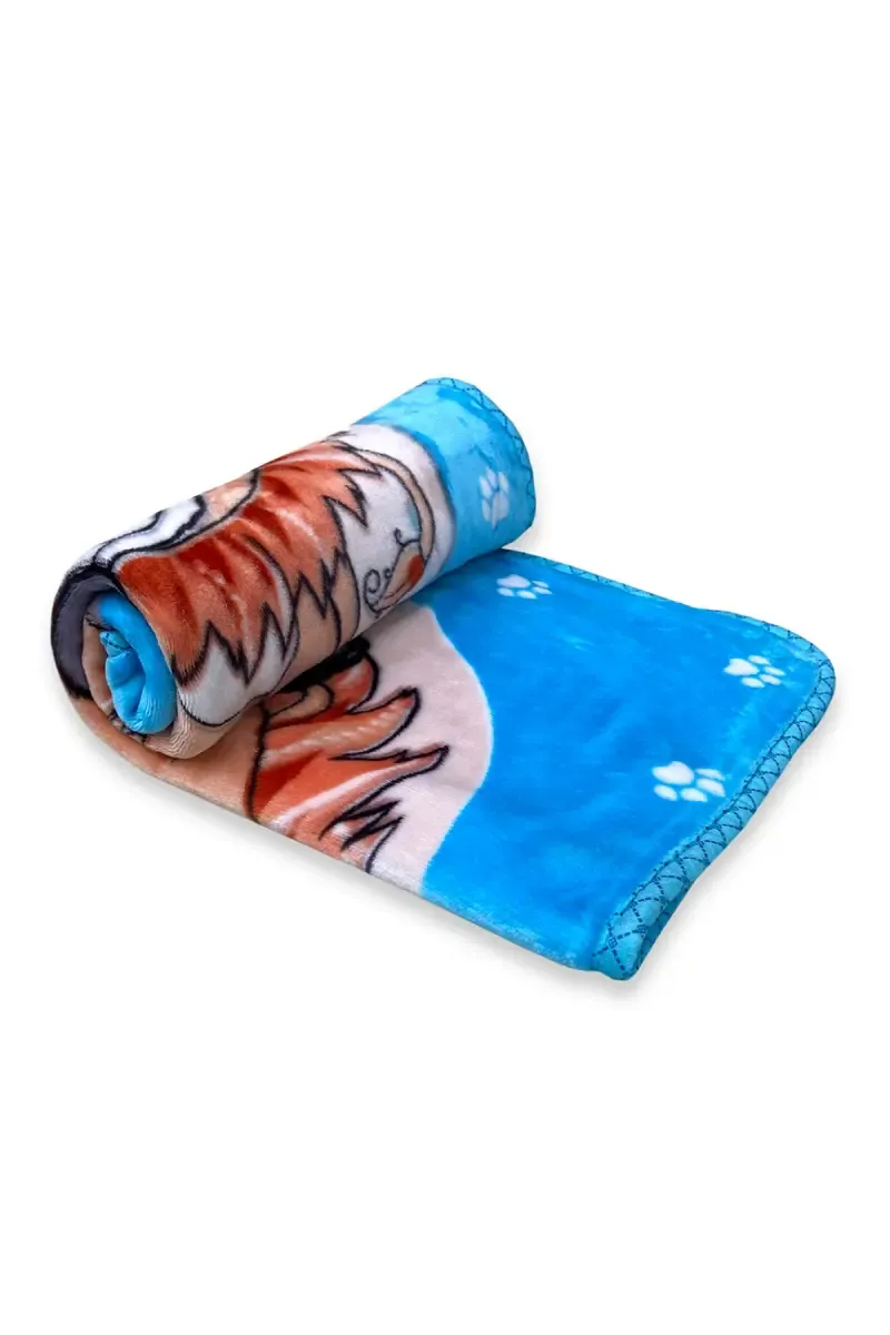 Baby Coral Fleece Printed Ac Blanket - Pack of 1 (Blue)