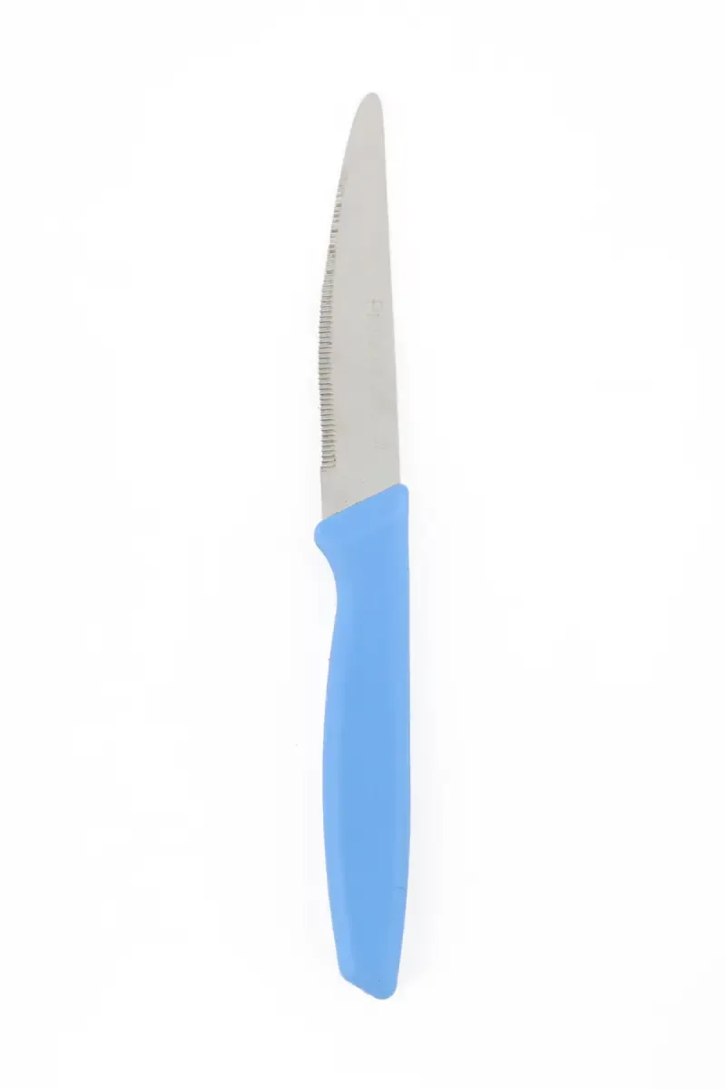 Prabha Stainless Steel Universal Sarrated Knife - 22cm