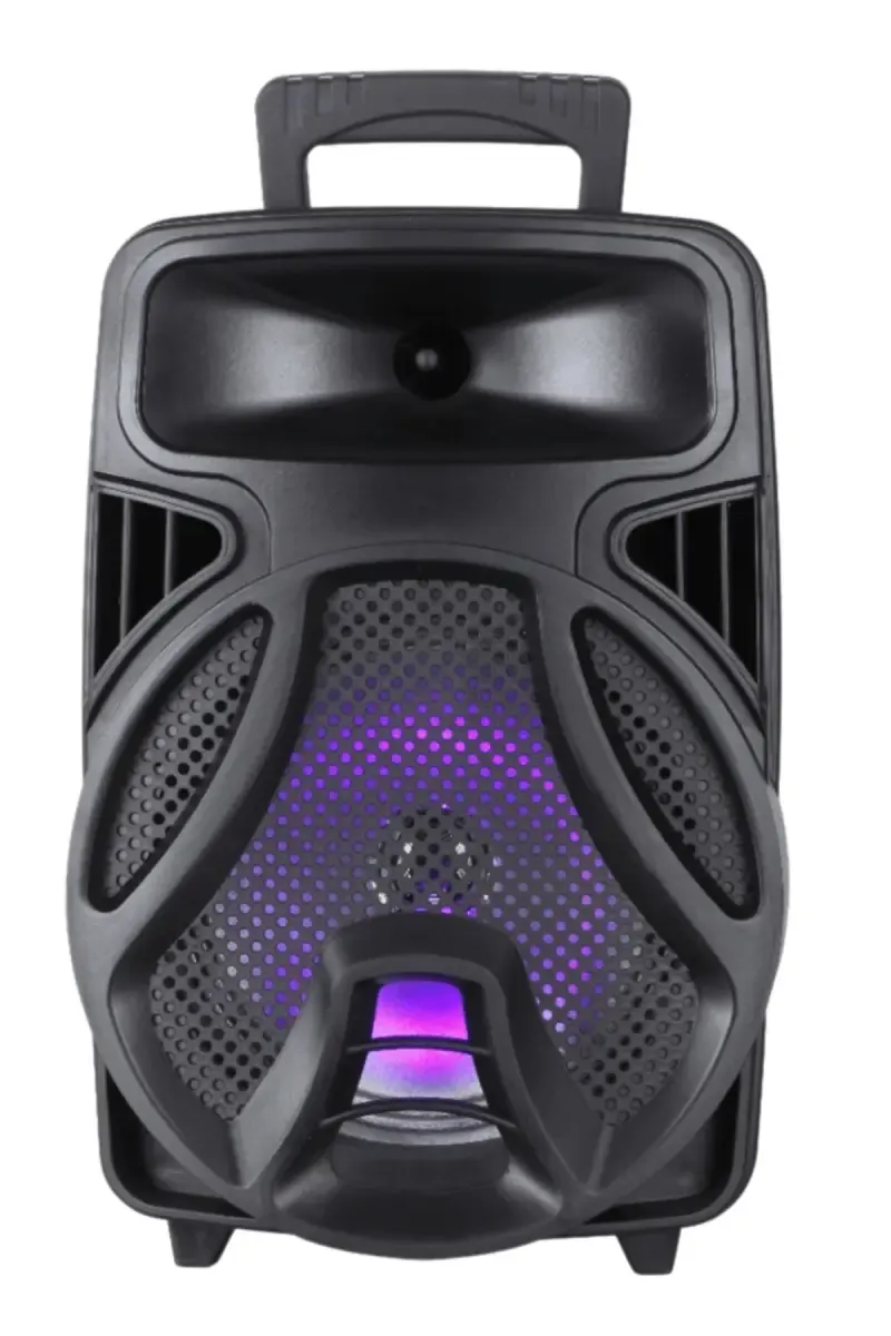 Swiss Military Boom 20 W Wireless Bluetooth Trolley Speaker with High Bass Performance (Black)