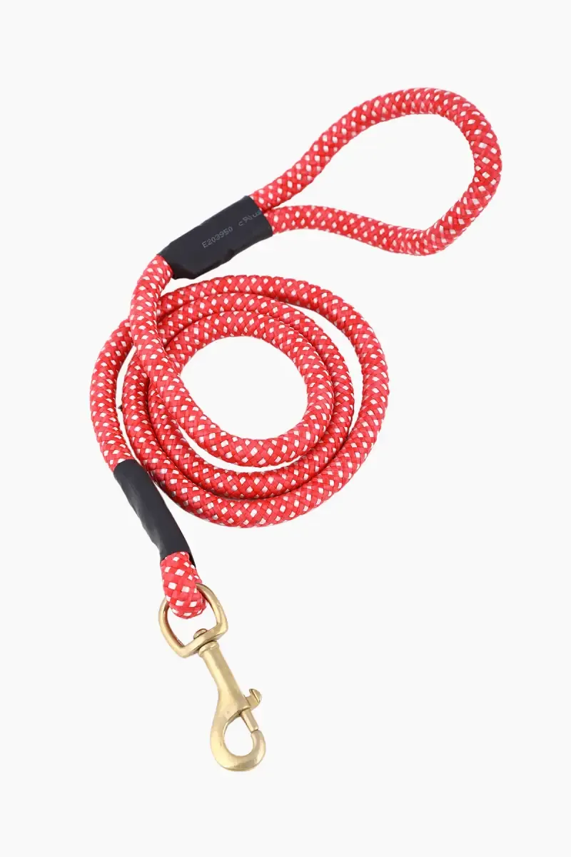 Canine Nylon Rope Leash With Buckle Closure For Dogs - Medium