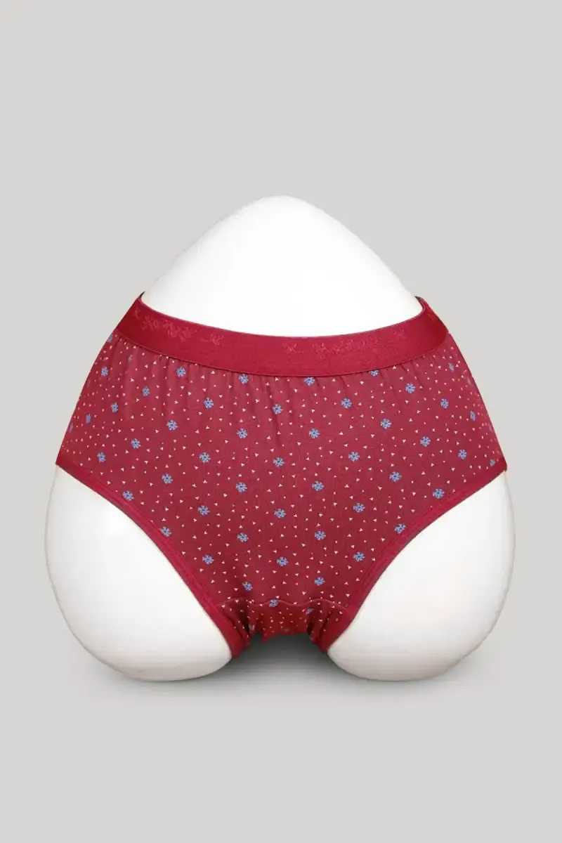 Cotton Blend Printed Hipster Panties for Women