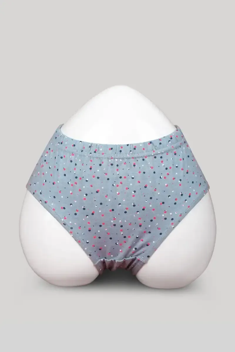 Cotton Blend Printed Hipster Panties for Women 