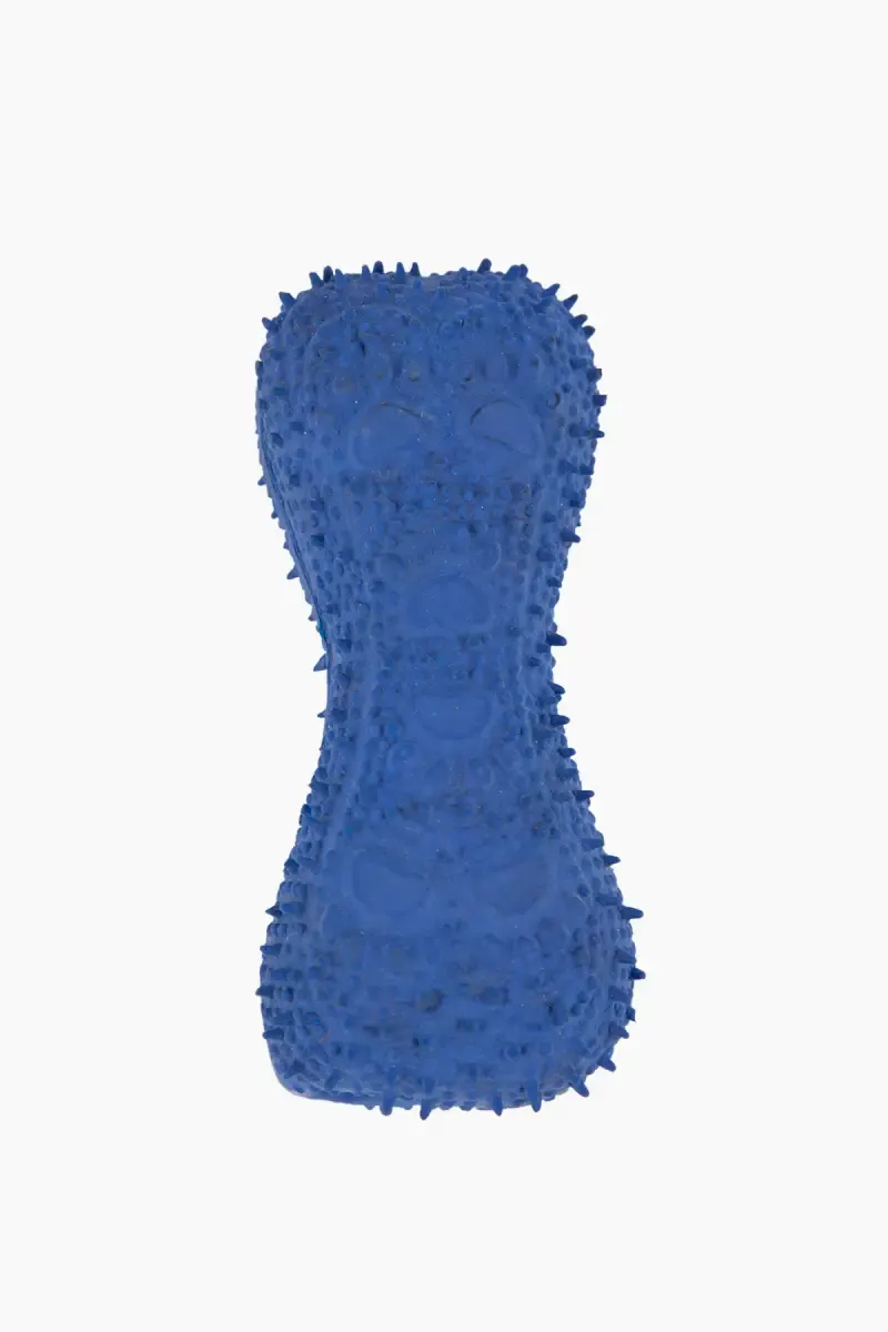 Canine Rubber Chewing Bone Toy For Dog  (Blue) - Medium