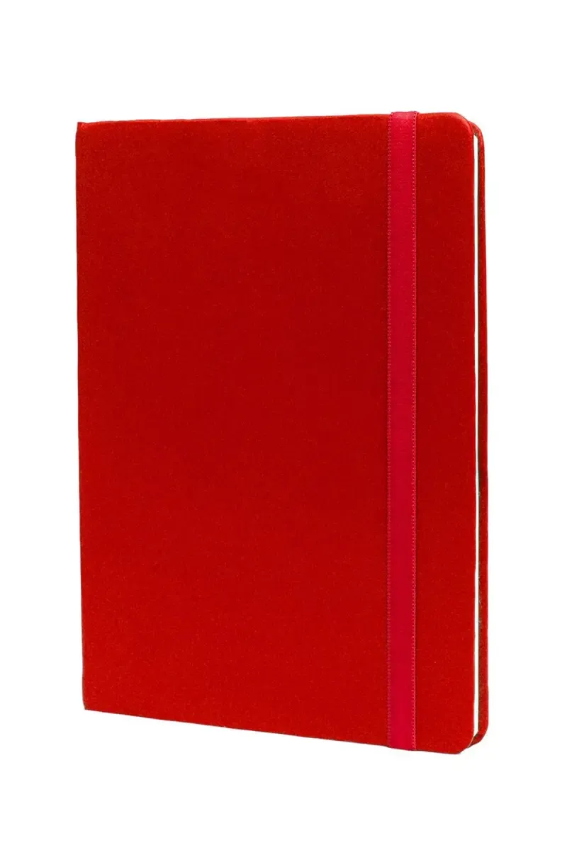 Anupam Hue Office Diary - 192 Pages (Red) 