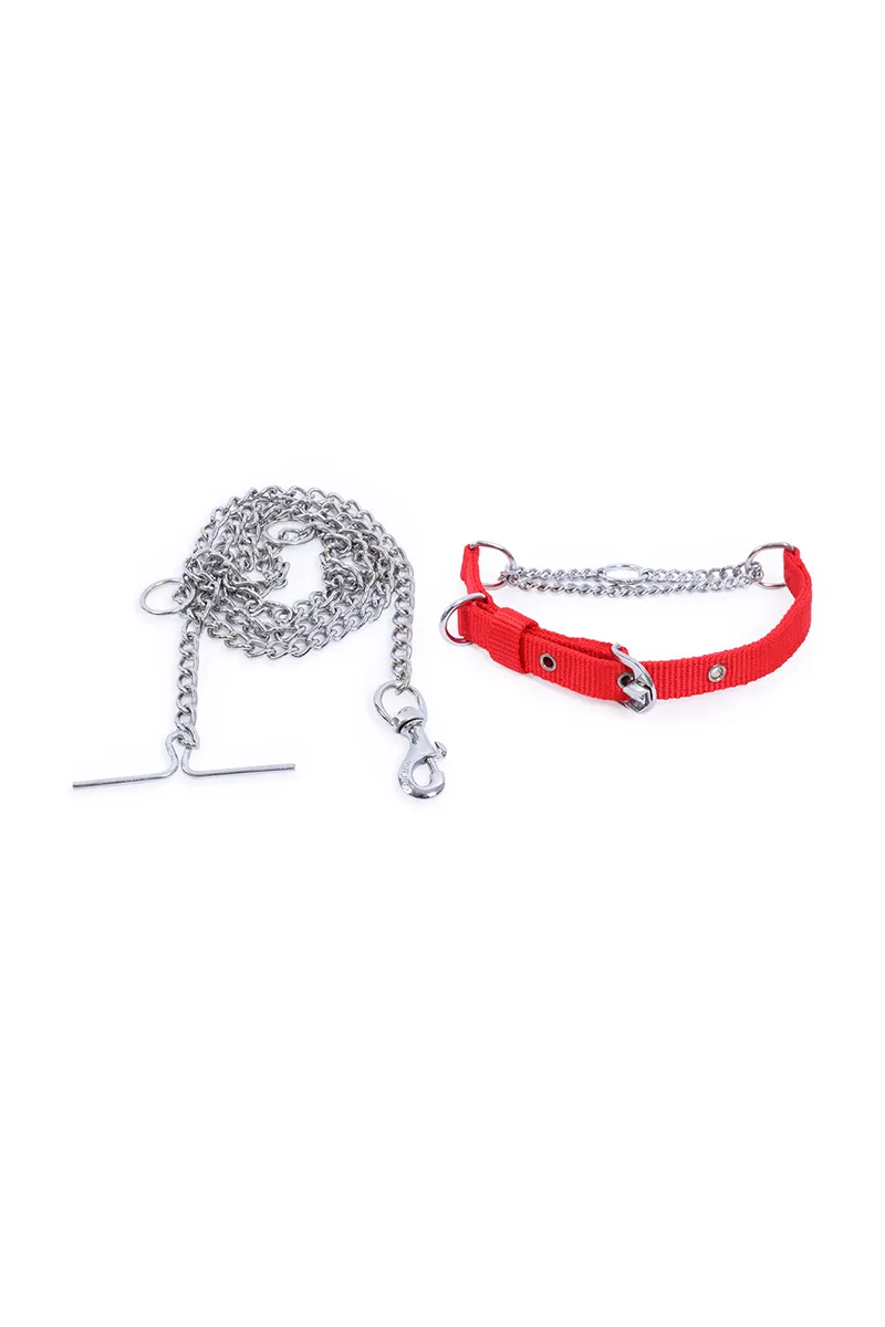 Super Chain Dog Collar with Chain (Medium) - Red 023512SILREDMED
