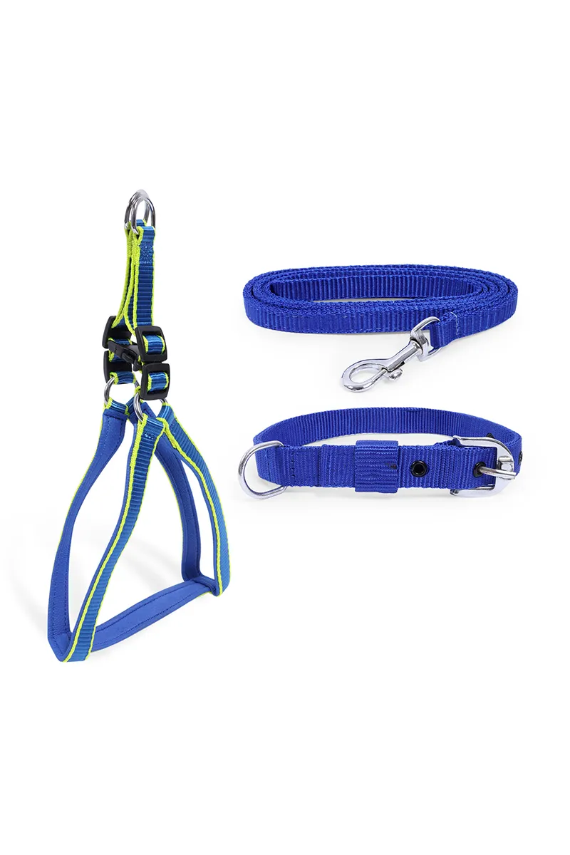 Super Chain Dog Collar Set Combo (Large) - Blue 023516BLULAR
