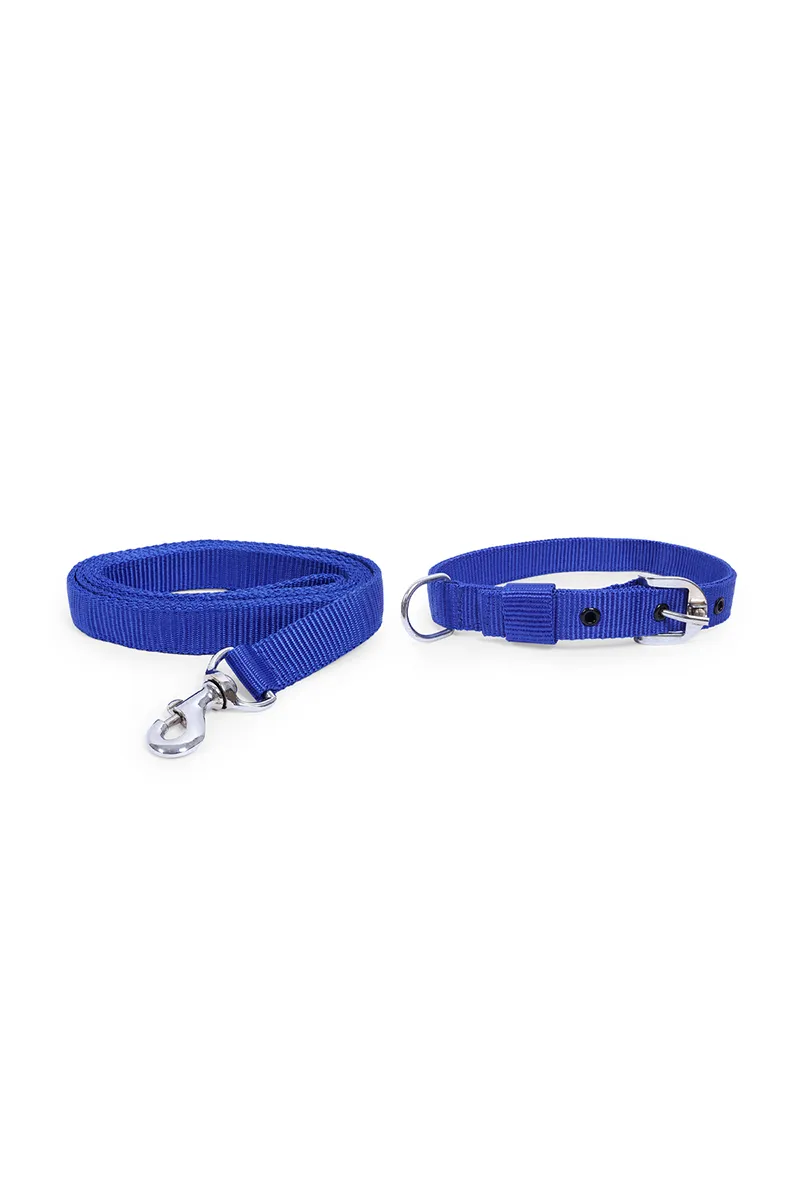 Super Chain Dog Collar With Leash Belt (Medium) - Blue 023521BLUMED