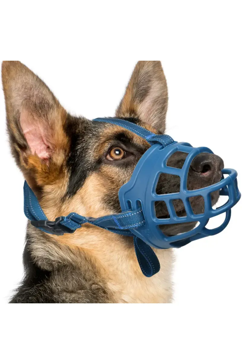 Dog Muzzle Set (Blue) - Large