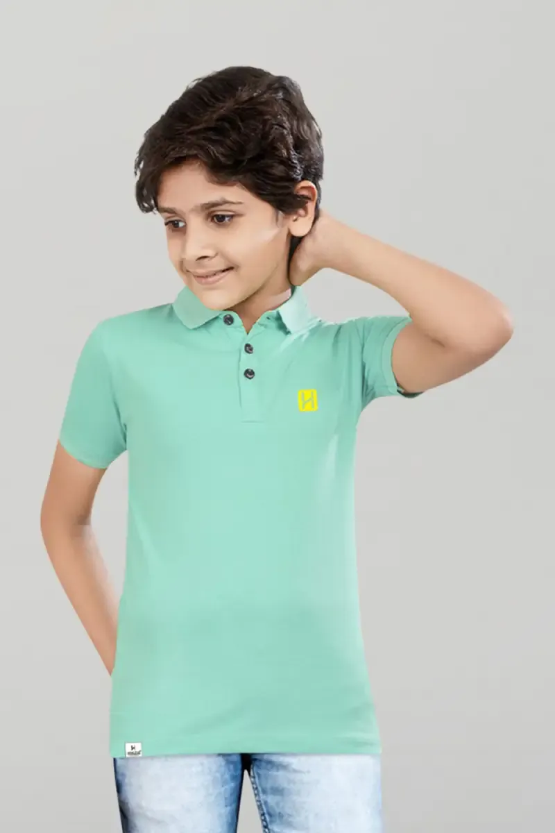 Polyester Solid Half Sleeve T-shirt for Boys 028012910YRSPIS