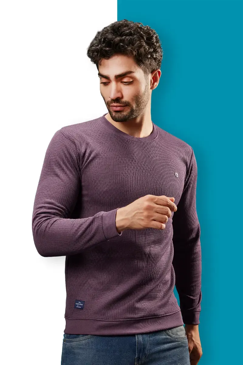 Cotton Blend Self Design Sweatshirts for Men 028115PUR38