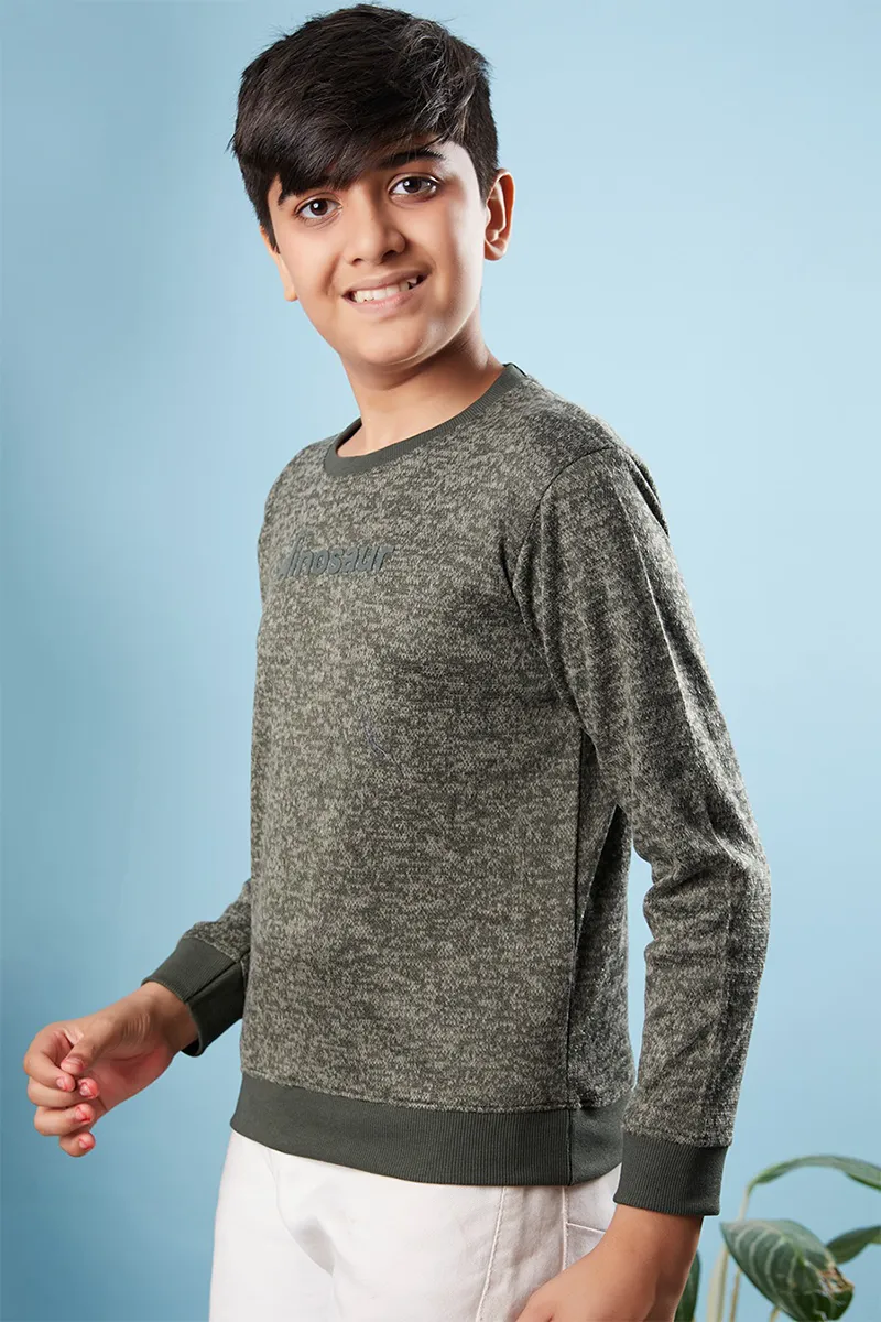 Polyester Solid Sweatshirt for Boys - Green CLBT0045GRN56YRS