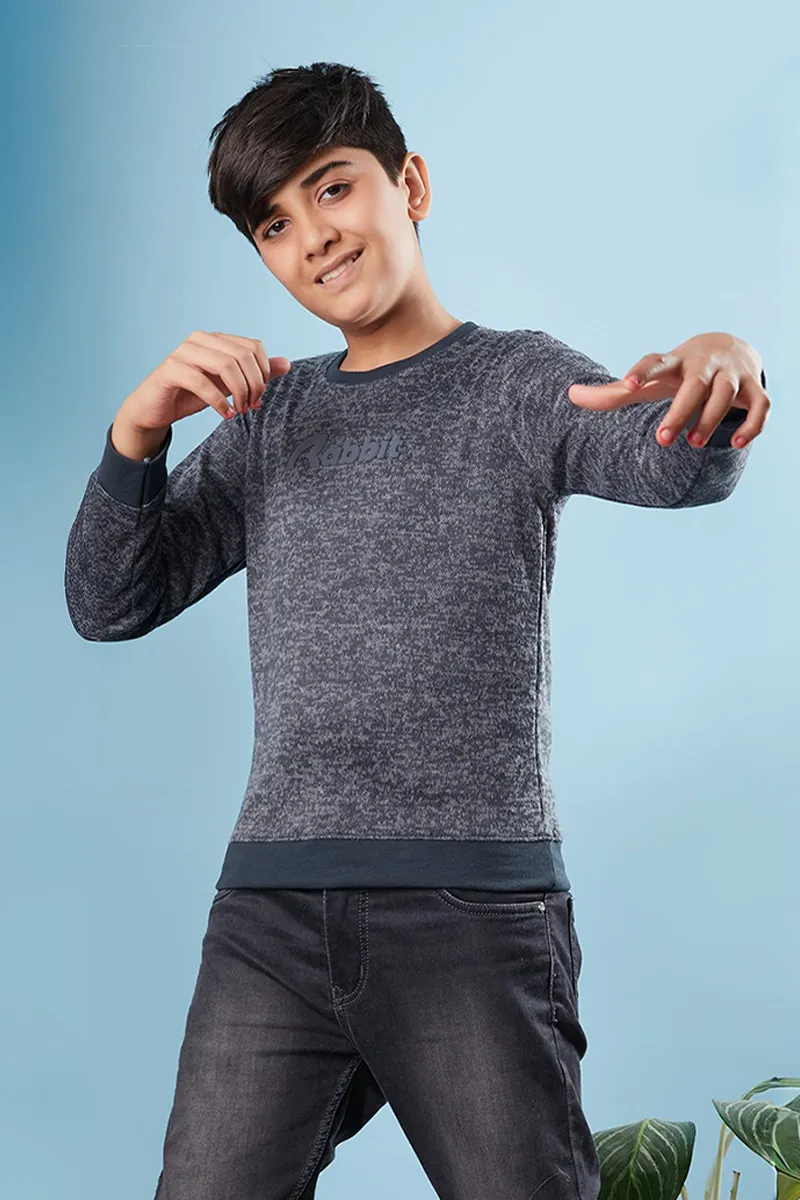 Polyester Solid Sweatshirt for Boys - Grey CLBT0047GRE910YRS