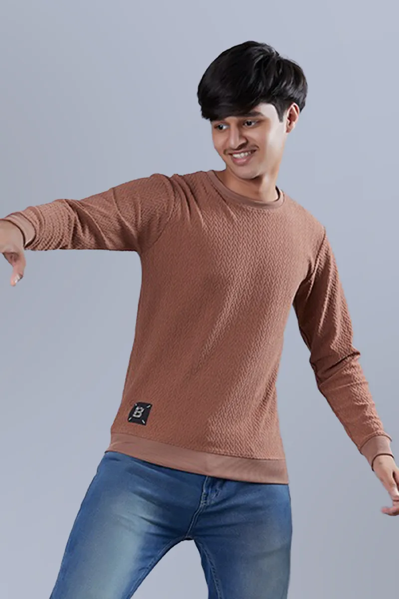 Cotton Solid Sweatshirt for Boys - Brown CLBT0051BRO1315YRS