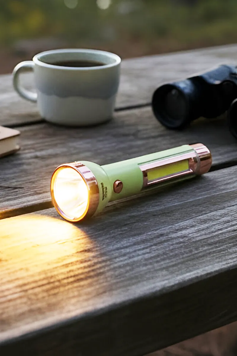 Rechargeable Pocket-Friendly LED Torch/Flashlight with Charger (Green)